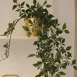 Myrtus Apartamento *