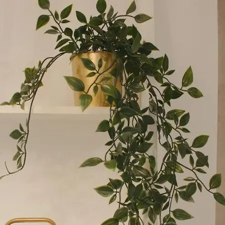 Myrtus Apartamento *