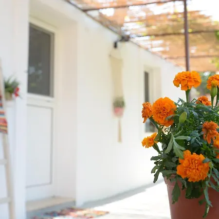 Apartamento Myrtus *